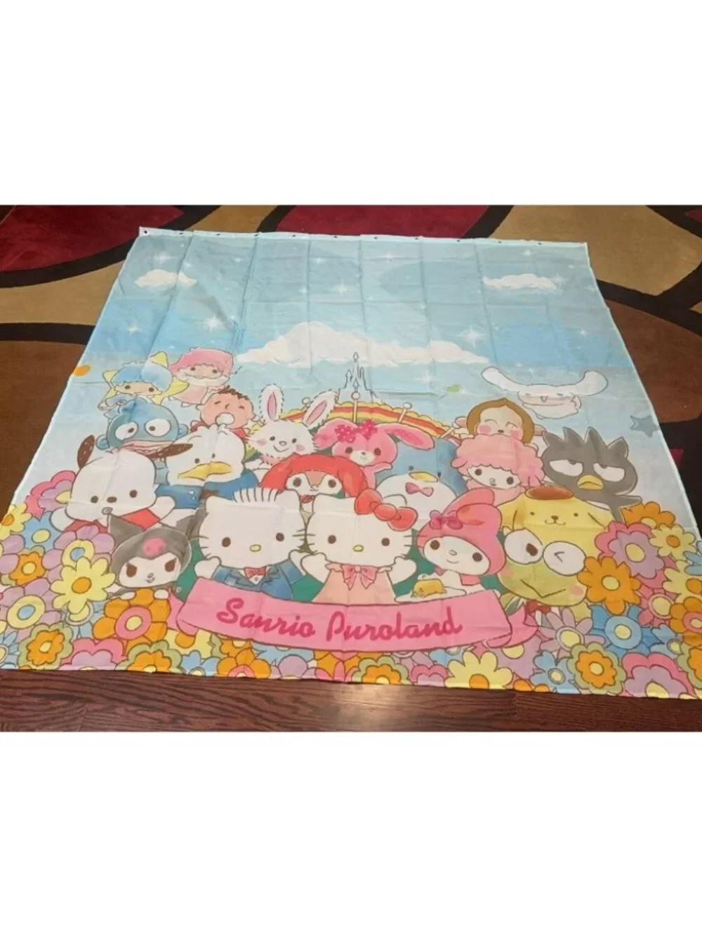 Cartoon Characters Shower Curtain Comes with 12 Hooks, Size: 59